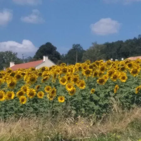 Semesterbostad La Petite Maison Dans Bretigny Beaumont (Vienne)